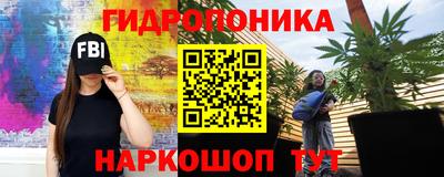 прущие грибы Малгобек