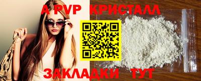 прущие грибы Малгобек