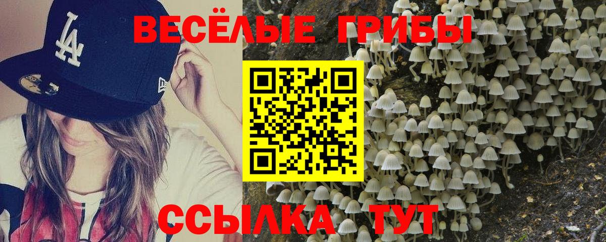 Галлюциногенные грибы прущие грибы  Псилоцибиновые грибы GOLDEN TEACHER  Вход с VPN  Тайшет 